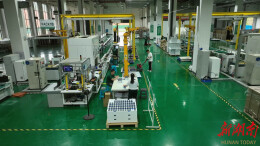 怀化荷力士前5月出口额近千万美元  全年预计突破5000万美元