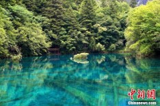 九寨沟风景如画引游人