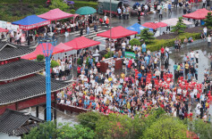 “‘杨’帆共富・‘梅’好振兴” 第六届漠滨杨梅节开幕！