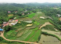 【上善助残服务中心有奖征文】用文字传递温暖，以真心书写感动