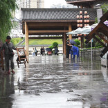 洪江区组织滨水商铺有序撤离