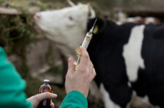 三湘时评丨新兴专业：让先行者有机会定义“答案”