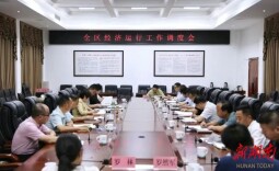 雷欣主持召开全区经济运行工作调度会