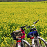 把“春日流量”变成“四季能量”
