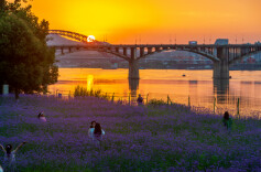按下快门，于湘江畔赴湖南花海之约