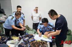 娄底连夜端掉1个制售假冒槟榔黑窝点