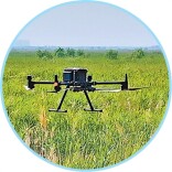 爱鸟护鸟，这些科技手段在助力