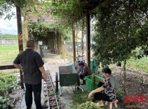 洪江区农业农村水利局：全力做好灾后农业生产恢复指导工作