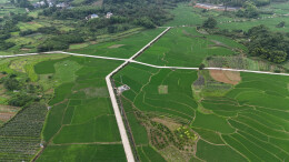 福地怀化 · 锦绣会同 | 初夏大雨后的乡村田野焕发新绿生机