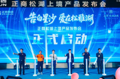 启幕星沙湖居生活新篇 正商松湖上境2.0低密洋房亮相