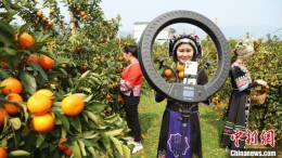 理论·智库丨做强直播电商 振兴乡村产业