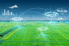 理论·智库头条丨构建数字驱动的粮食安全全链条监管体系