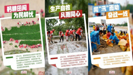 【七一海报】基层冲锋，看党员“C位”担当