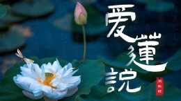 思想经纬丨从《爱莲说》看高校廉洁文化建设