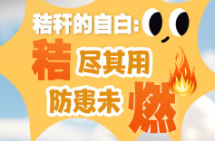 【AI图解】我是一根小秸秆，我不爱“玩火”