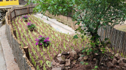 青春力量创意改造，靖州这个小村庄实现“颜值”大蜕变