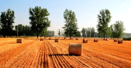 岳麓山评论丨 从“小”秸秆看“大”治理