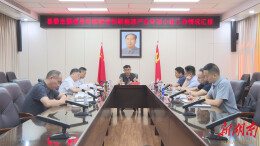 王启武听取新材料新能源产业专项小组工作情况汇报