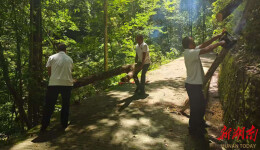 小溪管理局开展灾后重建主题党日活动