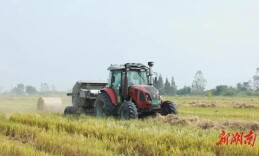 “秸”尽全力 向“绿”而行——君山积极探索秸秆“五化”利用新路径