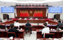 一体联动动真碰硬推进整改整治 以作风建设新成效引领天心高质量发展