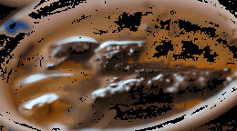 黑茶茶香，你知道几种？