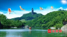 跨越北纬30度 “鸟中国宝”朱鹮物种延续的壮丽之旅