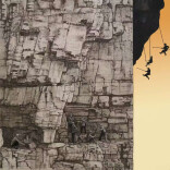 风动青莲 婷婷玉立——观陈婷婷的画作有感