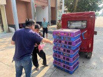 操军镇乡村振兴产业帮扶项目启动 首批54户低收入家庭喜领优质鸡苗