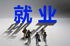 国务院办公厅印发《关于进一步加大稳就业政策支持力度的通知》