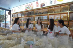 长理学子走进“南国药都”探寻中医药产业振兴新路径