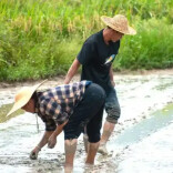 理论·新域丨胡艺华 肖海心：让农民群众获得可感可及的实惠