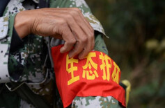 蓝山县开展护林员专项培训 筑牢森林资源安全防线