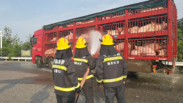 “二师兄”中暑了，望城消防紧急施救