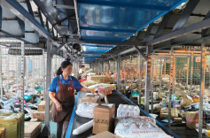 快递进村，山货出山！｜2025民生实事巡礼①