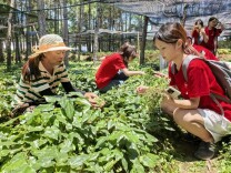 南华大学药学院在淫羊藿种植基地开展劳动教育实践活动