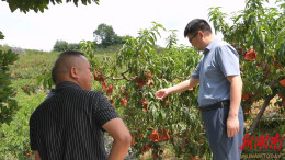 湖南农大专家团赴鹤城区开展农业产业调研