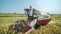 华容县：早稻收割正当时 田间奏响丰收曲