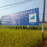 临田测粮保质量 助农售粮暖民心