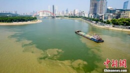 武汉两江交汇处现“泾渭分明”景观