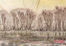 山西运城：黄河河汊纵横交错 长出“森林”沙画