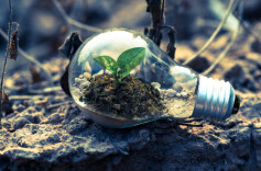 人在职场，请收起你的“玻璃心”