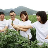 理论 • 新论｜因地制宜培育现代“新农人”