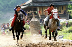 马蹄敲出水族新传奇