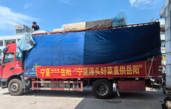 星鲜联动，鲜从北来——宁夏优质农产品首车直供岳阳海吉星