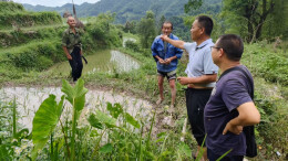 芷江这个乡村振兴工作队绘制“民情地图”，实干助力振兴