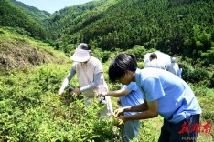 湖南科技学院旅游与文化产业学院：青春赋能乡村振兴 大学生为五里牌镇文旅打造“立体名片”