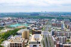 时政微观察丨从这些辩证关系，读懂“现代化人民城市”