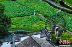 安徽黟县：西递古村荷花开