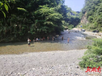 永顺县青坪镇：执人大之笔，绘基层治理和美画卷